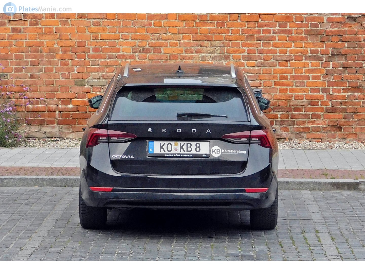 KO KB 8, Skoda Octavia 4th gen Combi (NX5), 2019–2024