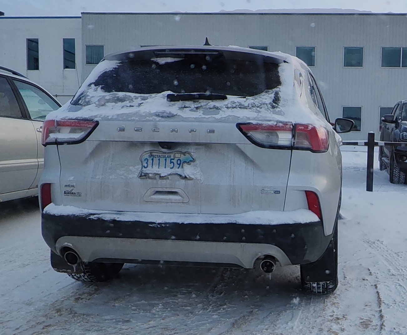 311159, Ford Escape 4th gen (CX482), 2019–2022