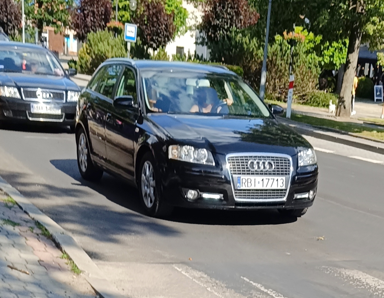 RBI 17713, Audi A3 2nd gen Sportback (8PA), 2004–2012