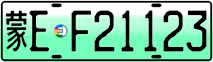 License plate of China, Electric vehicles