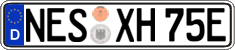 German license plate, Electric vehicles