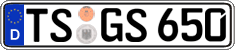 TS GS 650