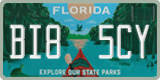 Florida, Specialty plates (XXX XXX)