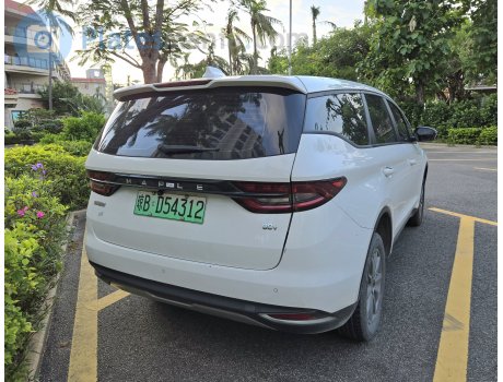 琼B·D54312, Maple 80V