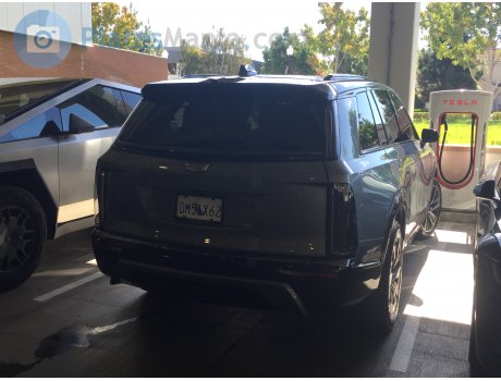 DM51X62, Cadillac Escalade