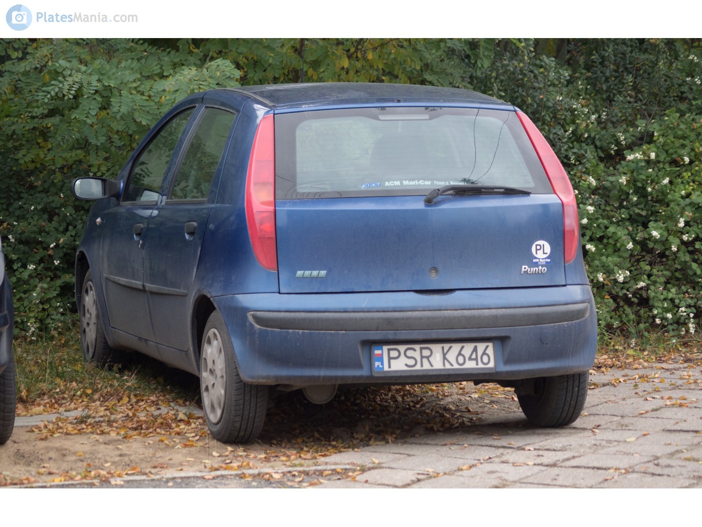 PSR K646, FIAT Punto 2nd gen 5-door Hatch (188), 1999–2003