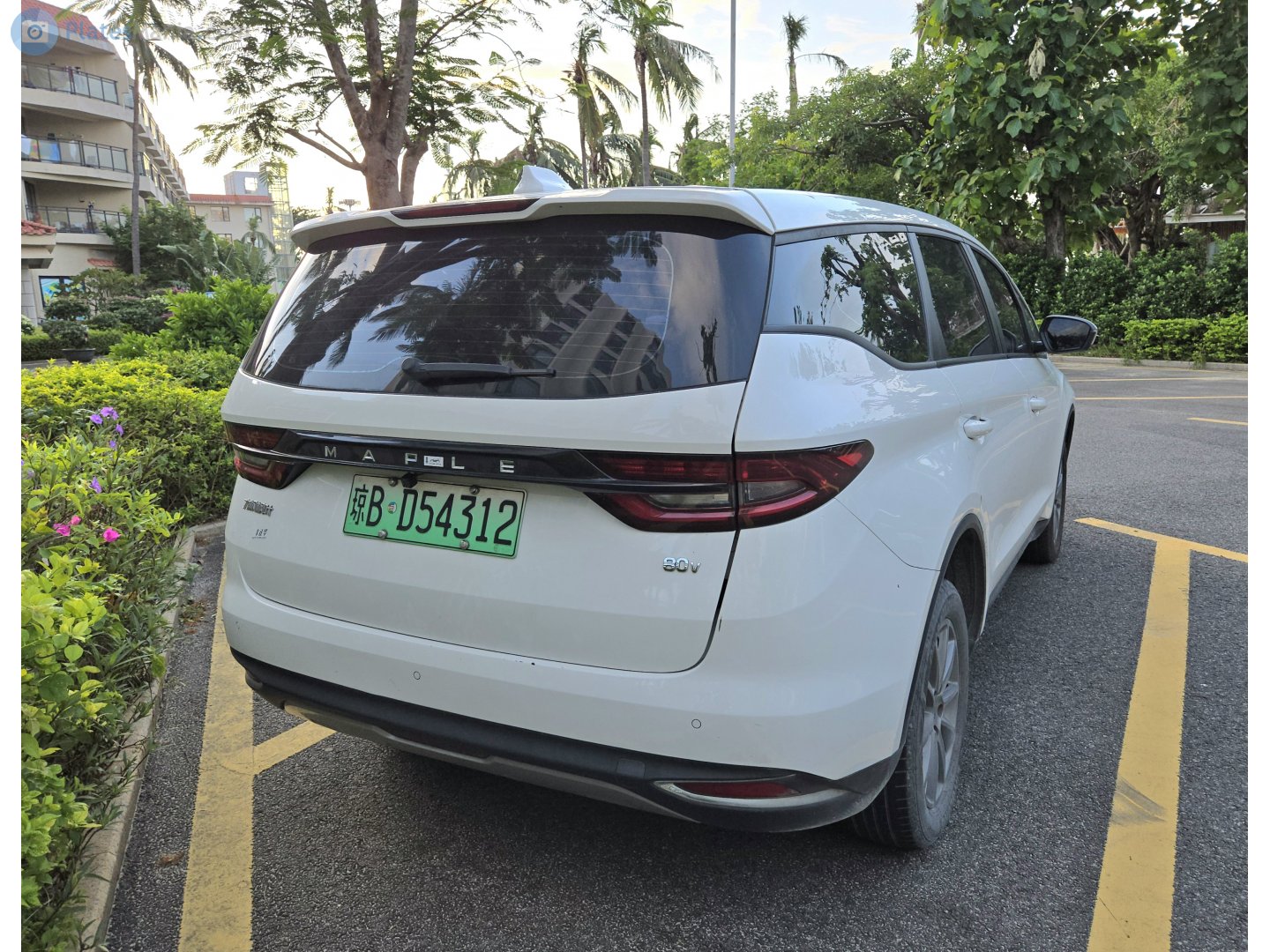 琼B·D54312, Maple 80V 