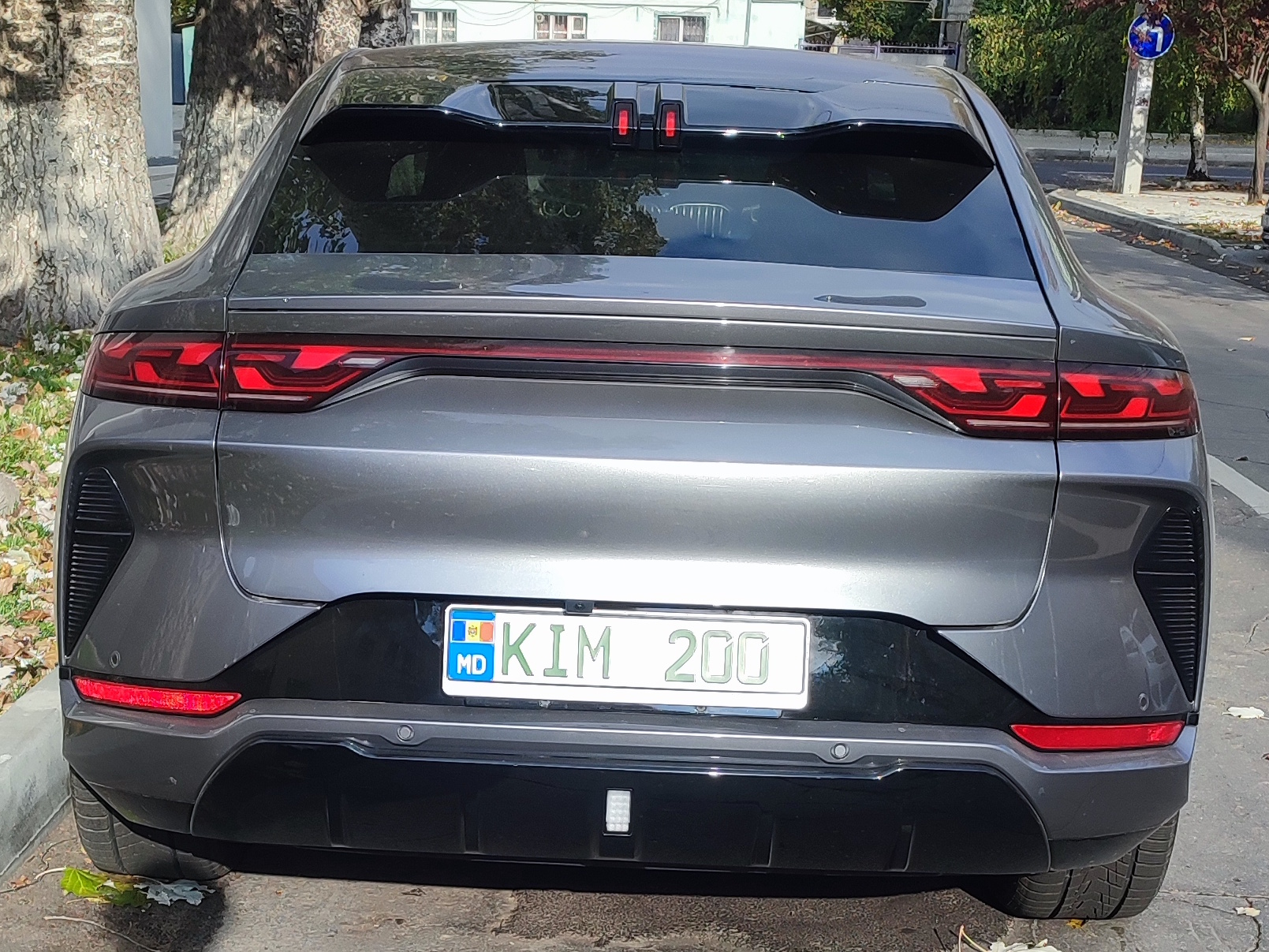 KIM 200, BYD Song 3rd gen L EV, 2023–