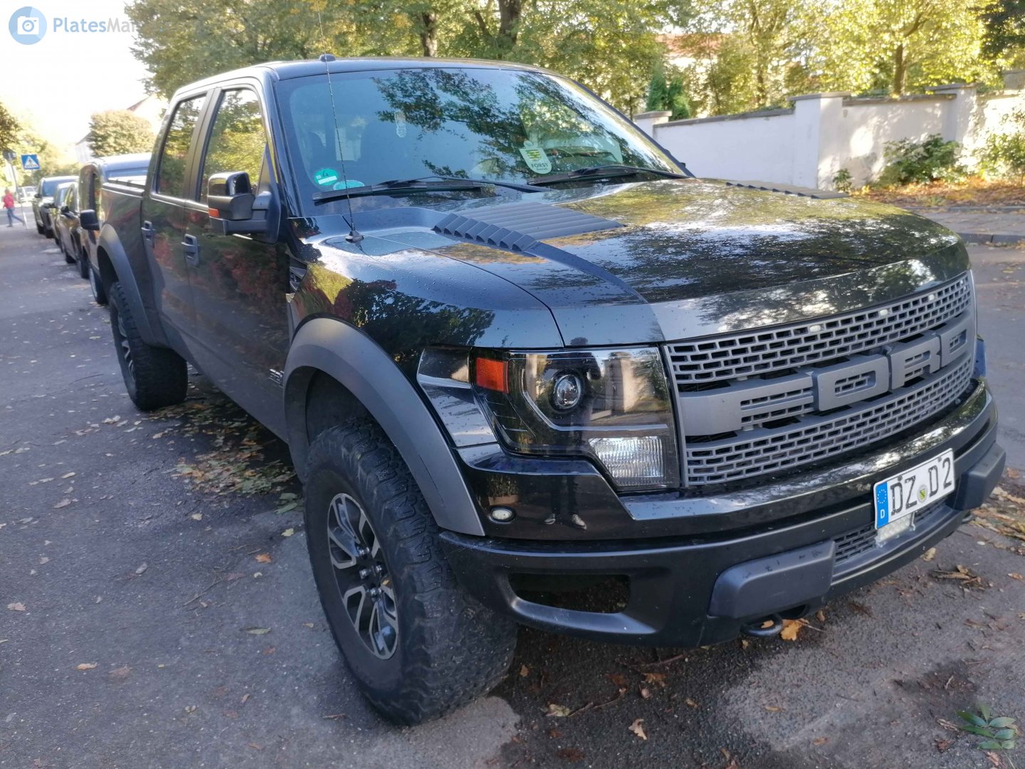 DZ D 2, Ford F-150 12th gen SVT Raptor (P415), 2009–2014