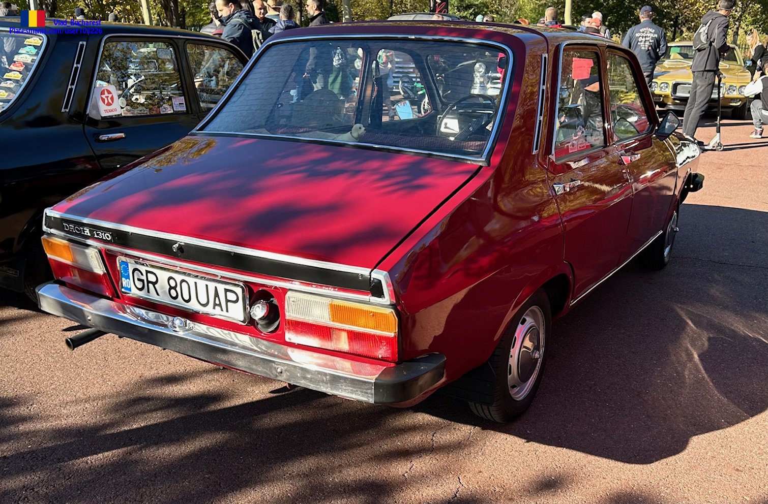 GR 80 UAP, Dacia 1310 1st gen Sedan, 1982–1991