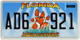 Florida, Specialty plates (XXX XXX)