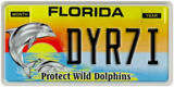 Florida, Specialty plates (XXXXX)