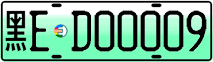 License plate of China, Electric vehicles