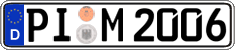 PI M 2006