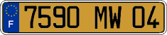 French license plate, FNI