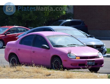 2C TF394, Plymouth Neon