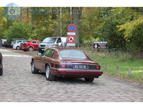 ES-792-BR, Jaguar XJS