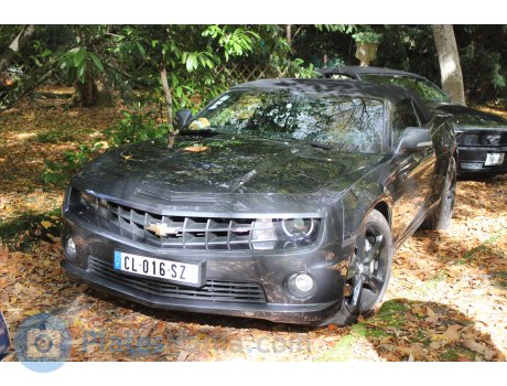 CL-016-SZ, Chevrolet Camaro