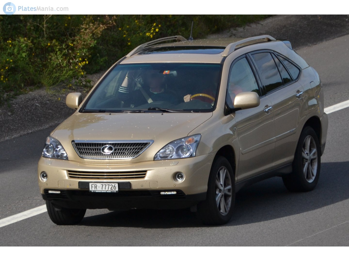 FR 77726, Lexus RX 2nd gen (XU30), 2003–2008