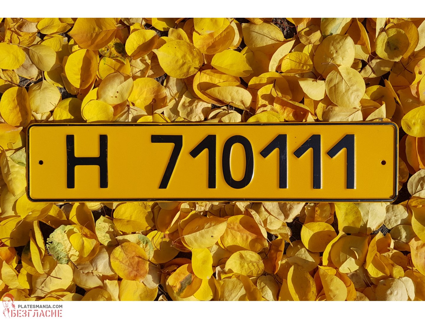 H 710111, License plate without vehicle 