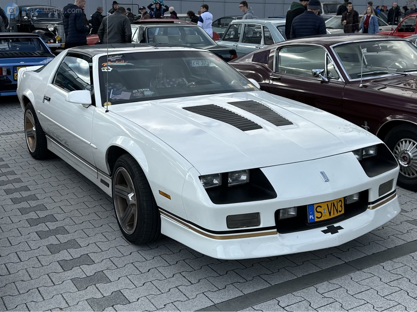 S VN3, Chevrolet Camaro 3rd gen Coupé (F III), 1981–1992