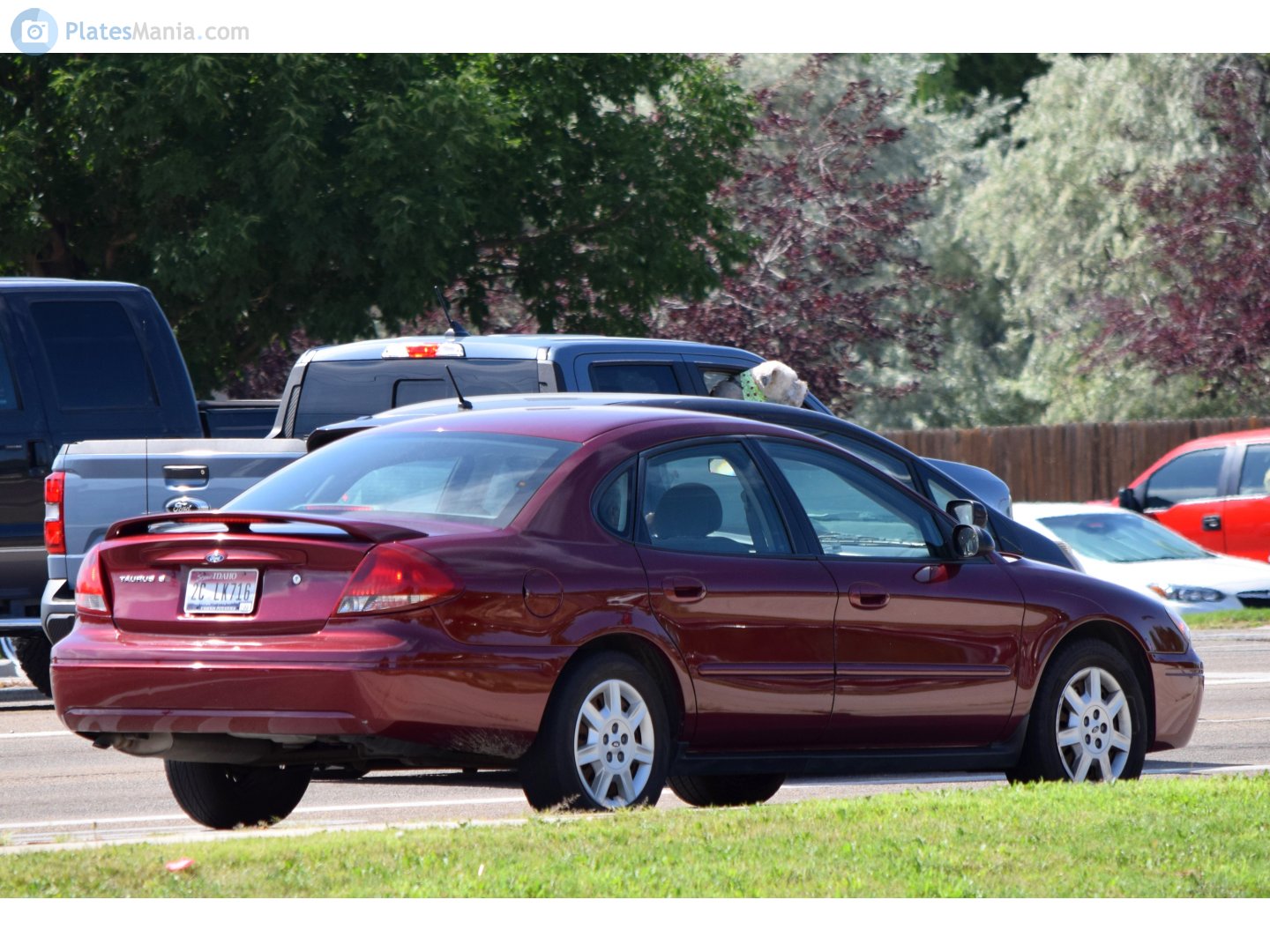 2C LK716, Ford Taurus 4th gen Sedan (D186), 1999–2006