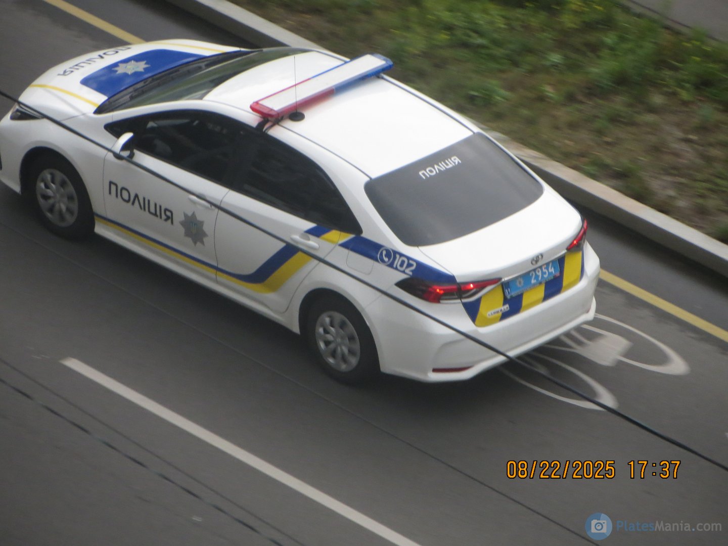 31 2954, Toyota Corolla 12th gen (Altis) Sedan (E210; Global-market), 2019–