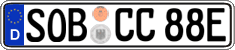 German license plate, Electric vehicles