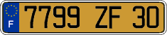 French license plate, FNI