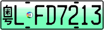 License plate of China, Electric vehicles