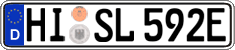 German license plate, Electric vehicles