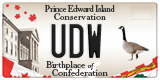 UDW