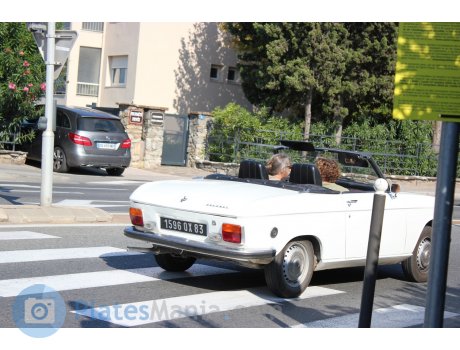 1596 QX 83, Peugeot 204