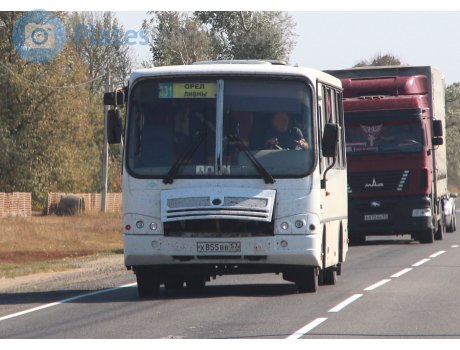 х855вв57, PAZ 3203/3204