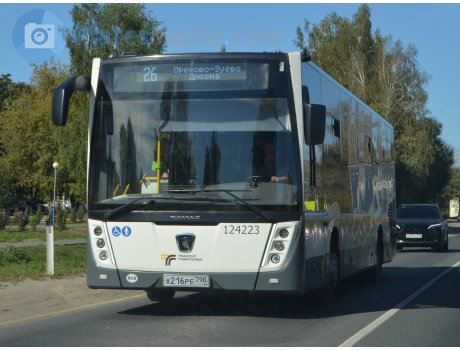 х216ре790, NefAZ (NZAS) 5299