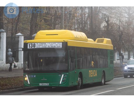 т384мх58, MAZ 203