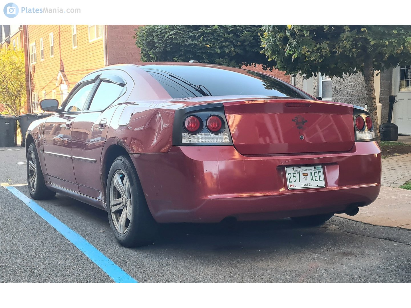 257-AEE, Dodge Charger 6th gen (LX/LD), 2006–2010