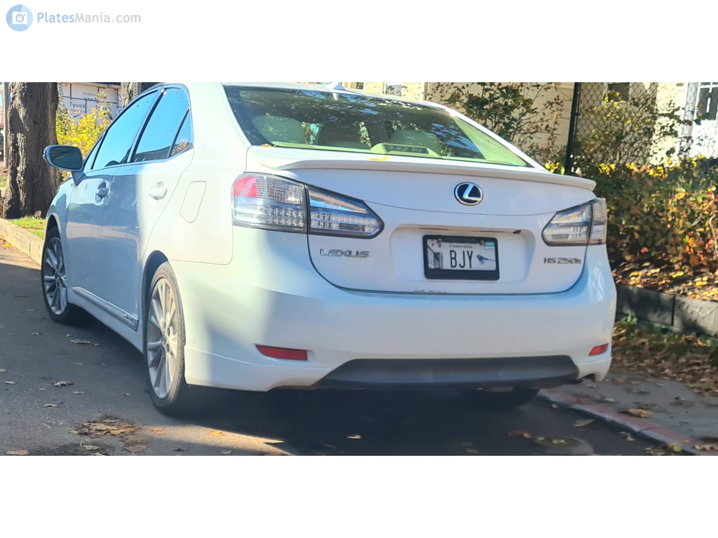 BJY, Lexus HS 1st gen (ANF10), 2009–2018