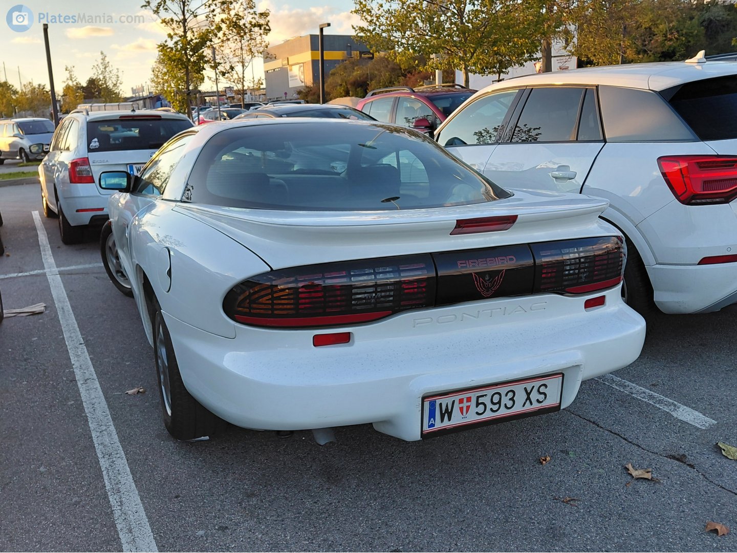 W 593 XS, Pontiac Firebird 4th gen Coupé (87; F-body), 1992–1997