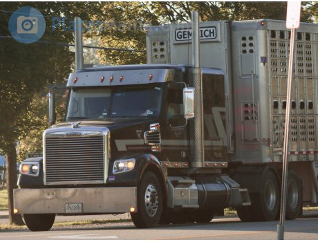 PA72099, Freightliner Coronado