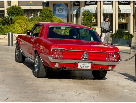 DG-739-WR, Ford Mustang