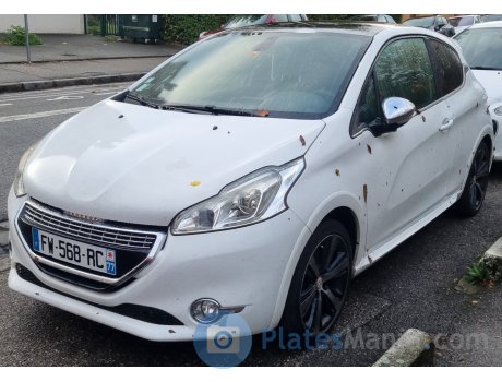 FW-568-RC, Peugeot 208