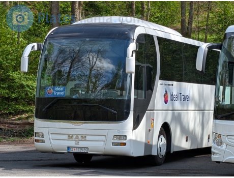 SK 9225 BS, MAN Lion