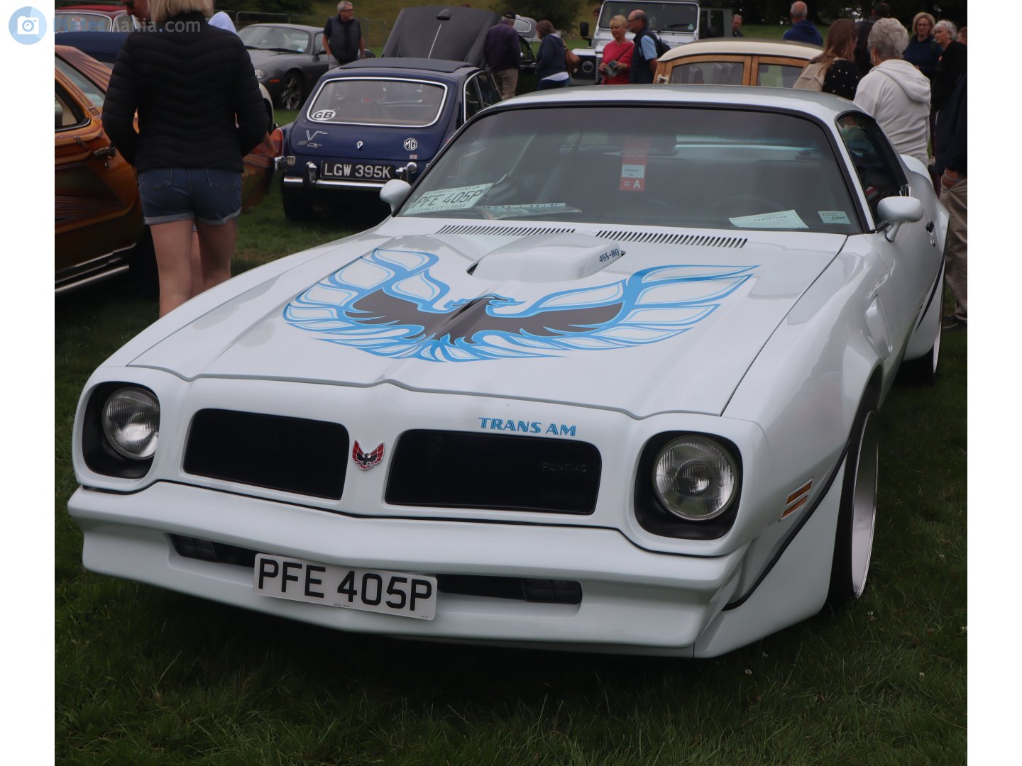 PFE405P, Pontiac Firebird 2nd gen (87; F-body), 1st facelift, 1973–1976