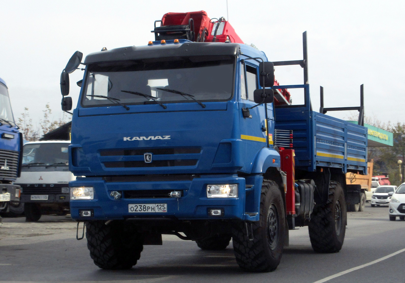 о 238 рн 125, KamAZ 4350 43502 Мустанг (Mustang), 2008–
