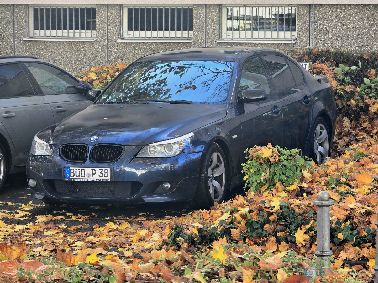 BÜD P 38, BMW 5 Series 5th gen Sedan (E60), 2003–2010