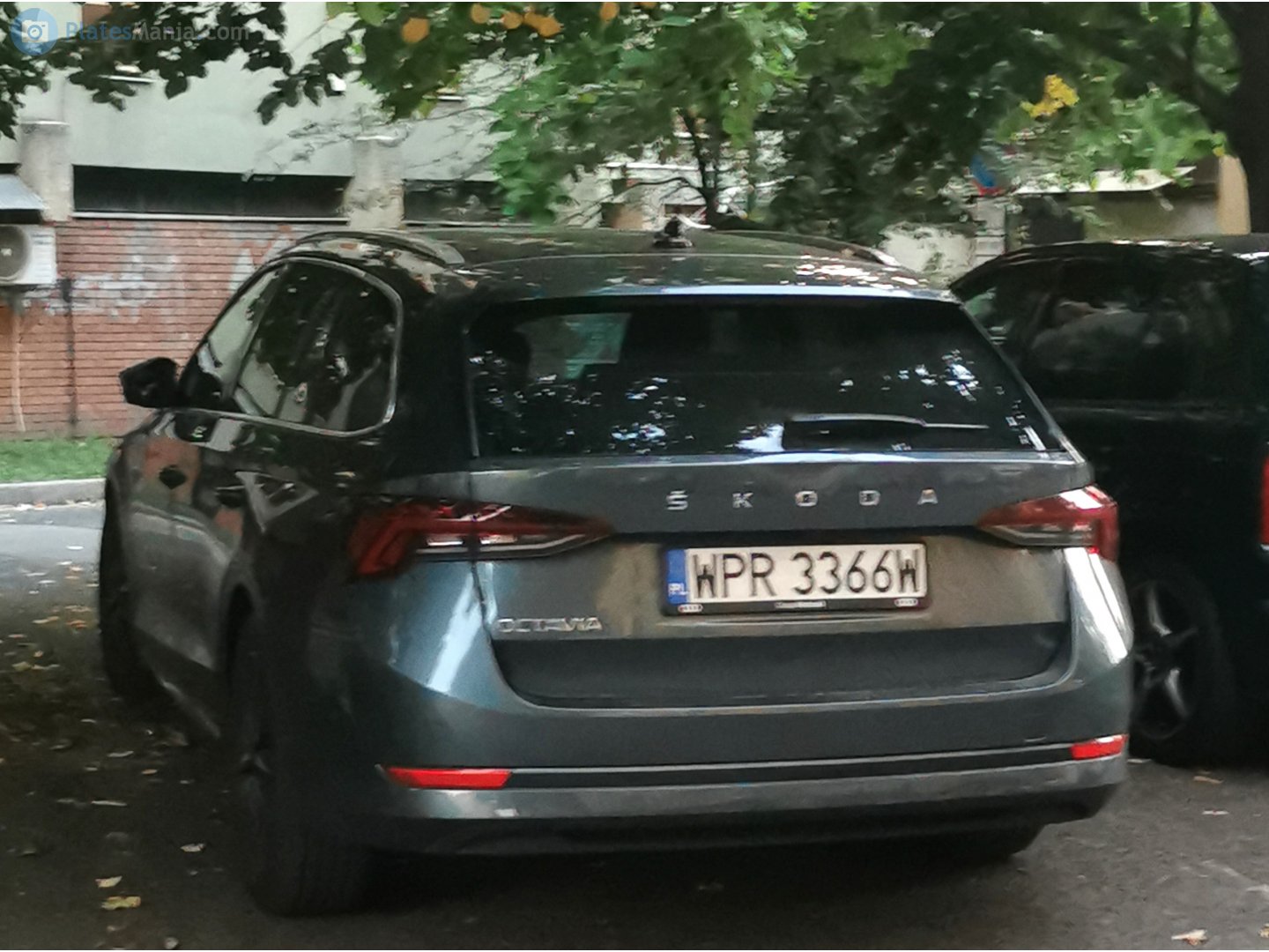 WPR 3366W, Skoda Octavia 4th gen Combi (NX5), 2019–2024