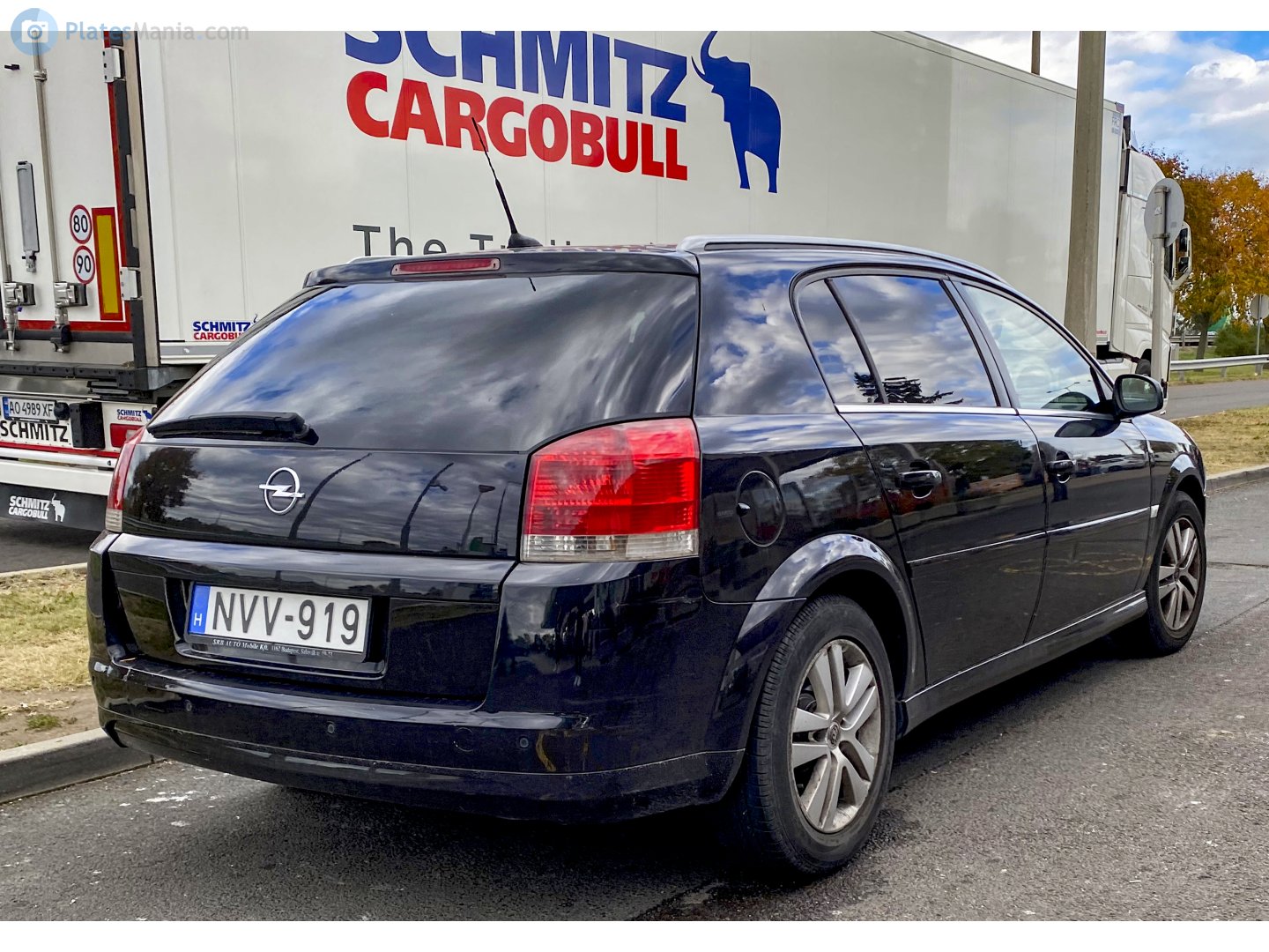 NVV-919, Opel Signum 1st gen (Z03), facelift, 2005–2008