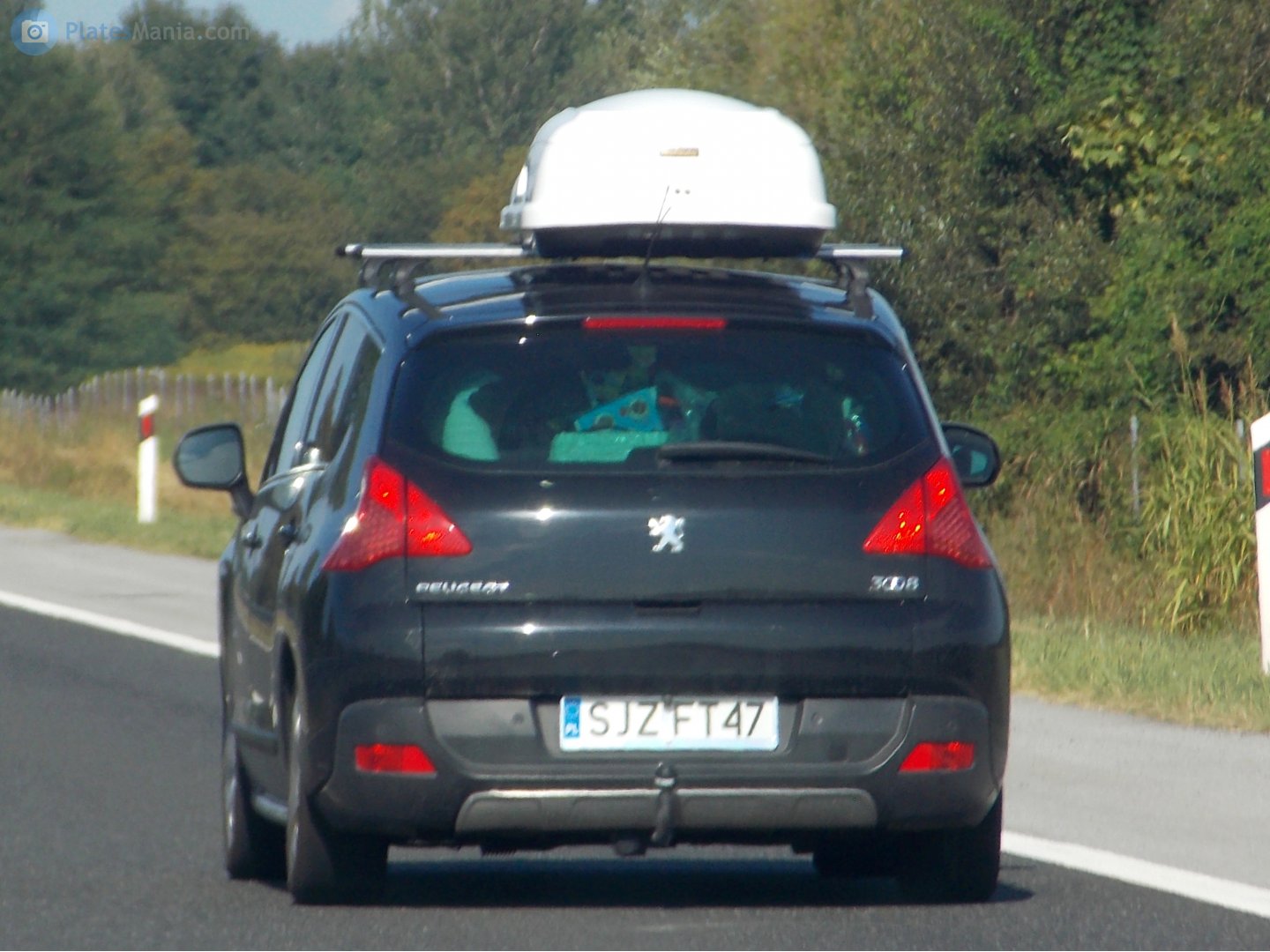 SJZ FT47, Peugeot 3008 1st gen (T84; Global-market), 2009–2013
