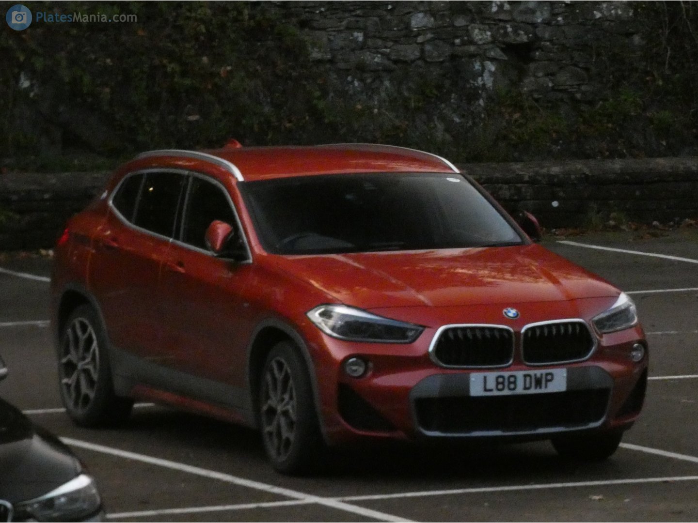 L88DWP, BMW X2 1st gen (F39), 2018–2023